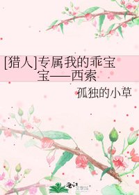 [獵人]專屬我的乖寶寶——西索