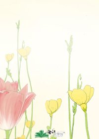 聖女獸夫的孤島記事